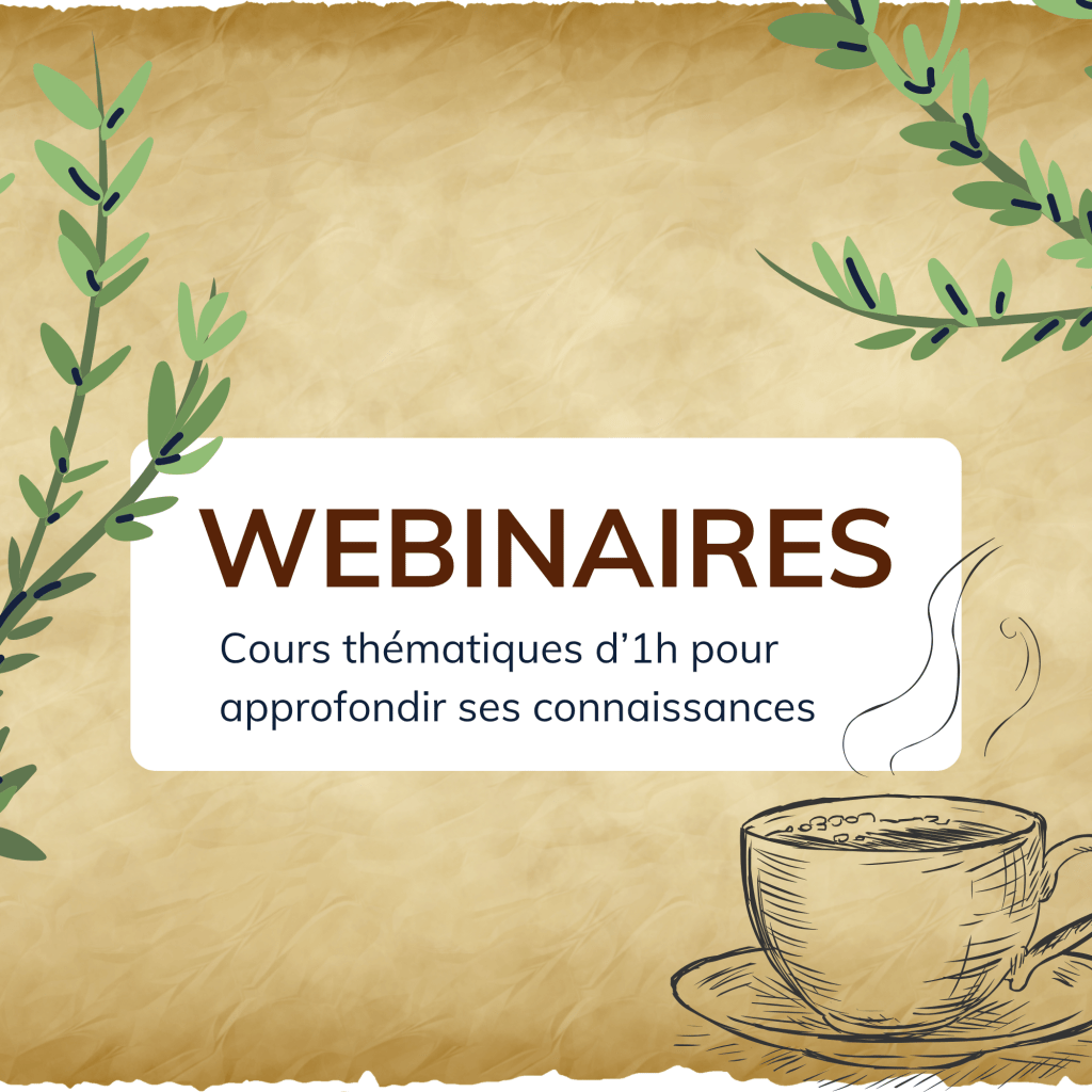 Revue de l'Institut de Naturopathie Médiévale pour apprendre les plantes médiévales et leurs usages dans l'assiette, naturoapthie de l'assiette et du jardin et recommandations d'Hildegarde de Bingen, se former en naturopathie