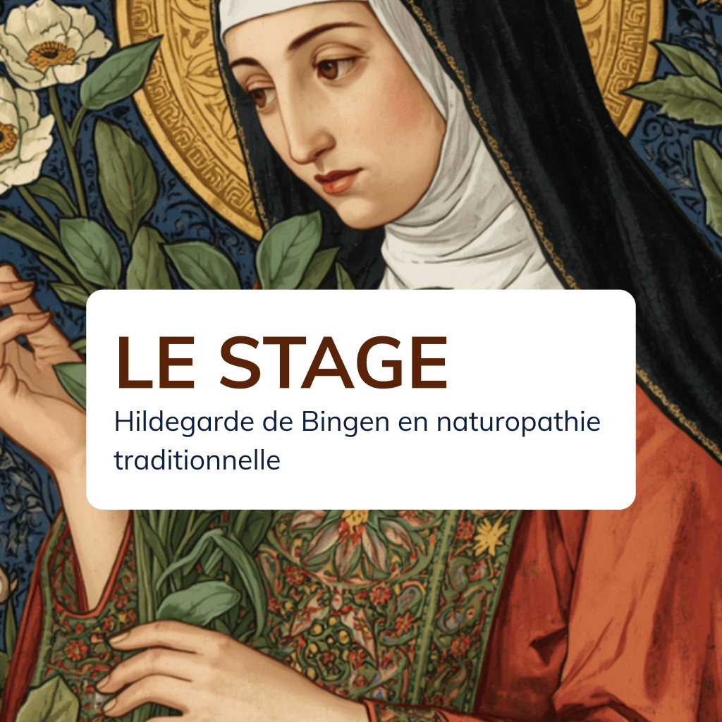 Revue de l'Institut de Naturopathie Médiévale pour apprendre les plantes médiévales et leurs usages dans l'assiette, naturoapthie de l'assiette et du jardin et recommandations d'Hildegarde de Bingen, se former en naturopathie