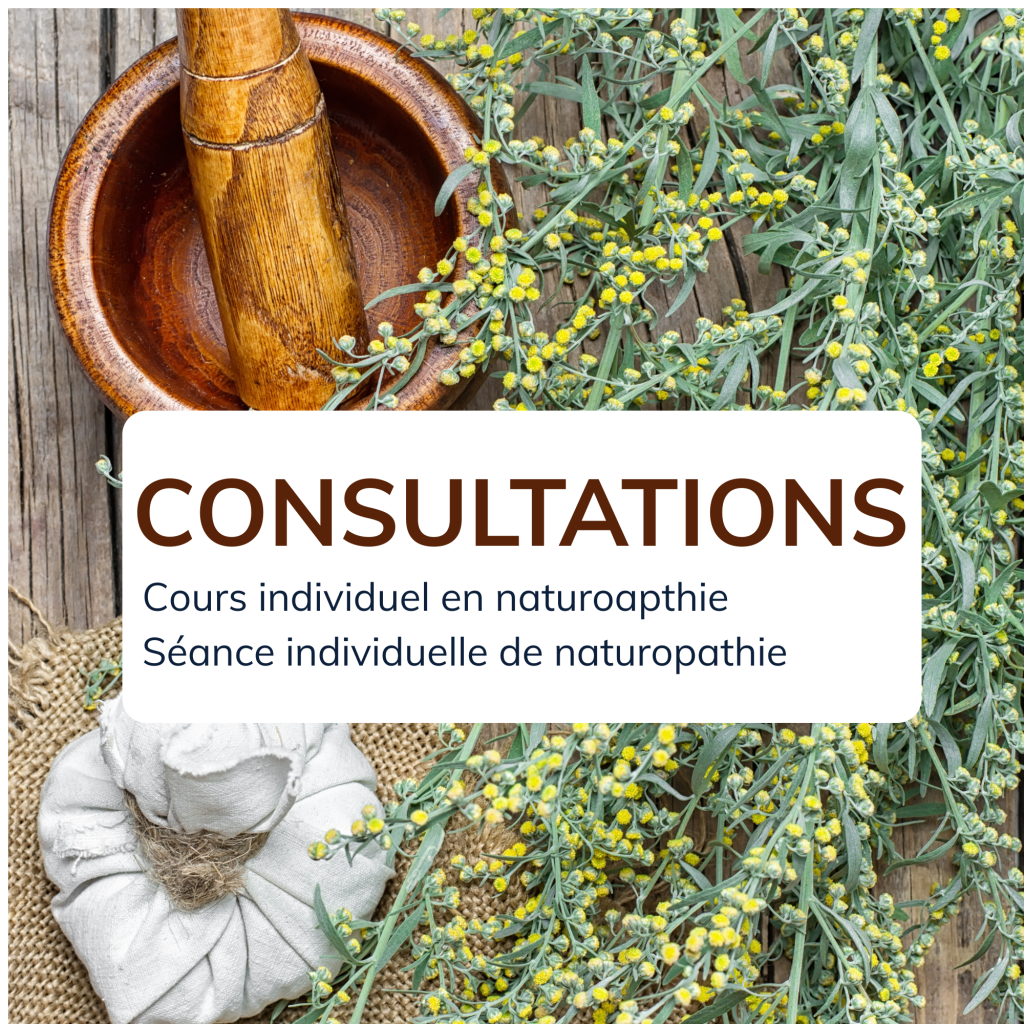 Revue de l'Institut de Naturopathie Médiévale pour apprendre les plantes médiévales et leurs usages dans l'assiette, naturoapthie de l'assiette et du jardin et recommandations d'Hildegarde de Bingen, se former en naturopathie
