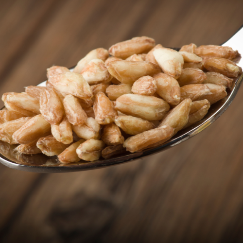 epeautre spelta hildegarde de bingen formation hildegarde se former à hildegarde de bingen en naturopathie épeautre céréale épeautre gluten pain à l'épeautre hildegarde épeautre non hybridé