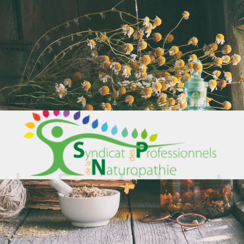 Article du syndicat des professionnels de la naturopathie pour illustrer l'institut de naturopathie médiévale et ses travaux sur les formations Hildegarde de Bingen