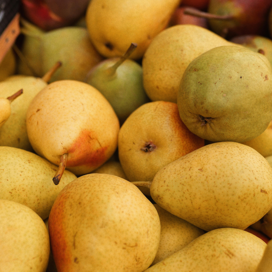 Formation sur les plantes d'Hildegarde de Bingen fédération hildegarde de bingen association hildegarde de Bingen santé naturelle