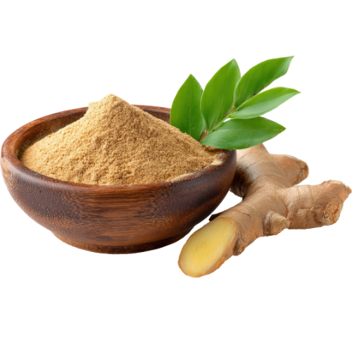 le gingembre d'Hildegarde de Bingen épices médiévales formation sur la digestion dans les écrits d'Hildegarde de Bingen remèdes hildegardiens