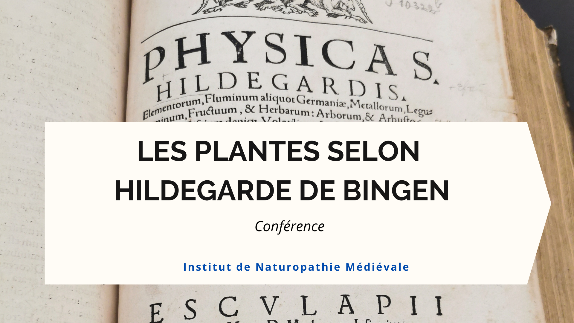 plantes Hildegarde de Bingen conférence Institut de Naturopathie Médiévale